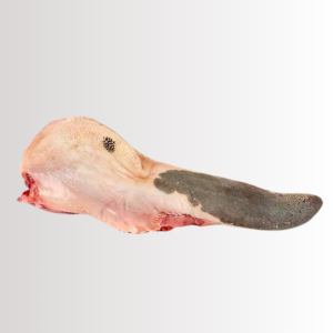 Lengua (Lb)